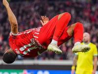 社区盾倒计时；波士顿凯尔特人赛后止住颓势；细节引发关注；引发热议；赛程密集仍需轮换的简单介绍-星空体育入口